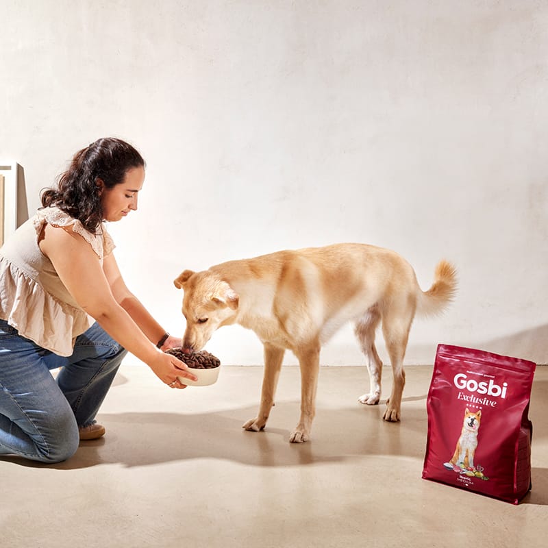 Exclusive Dog Adult Medium Iberian pork Exclusive Dog Adult Medium Iberian pork